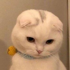 Meet your Posher, Xu